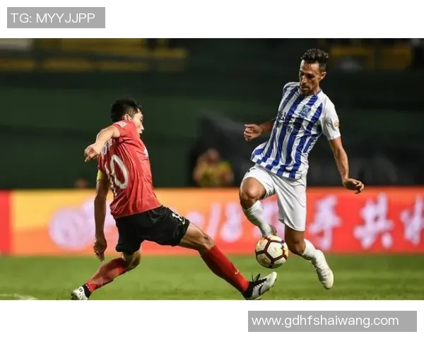 沙维什与博阿维斯的较量遗憾落幕球迷期待未来的精彩对决